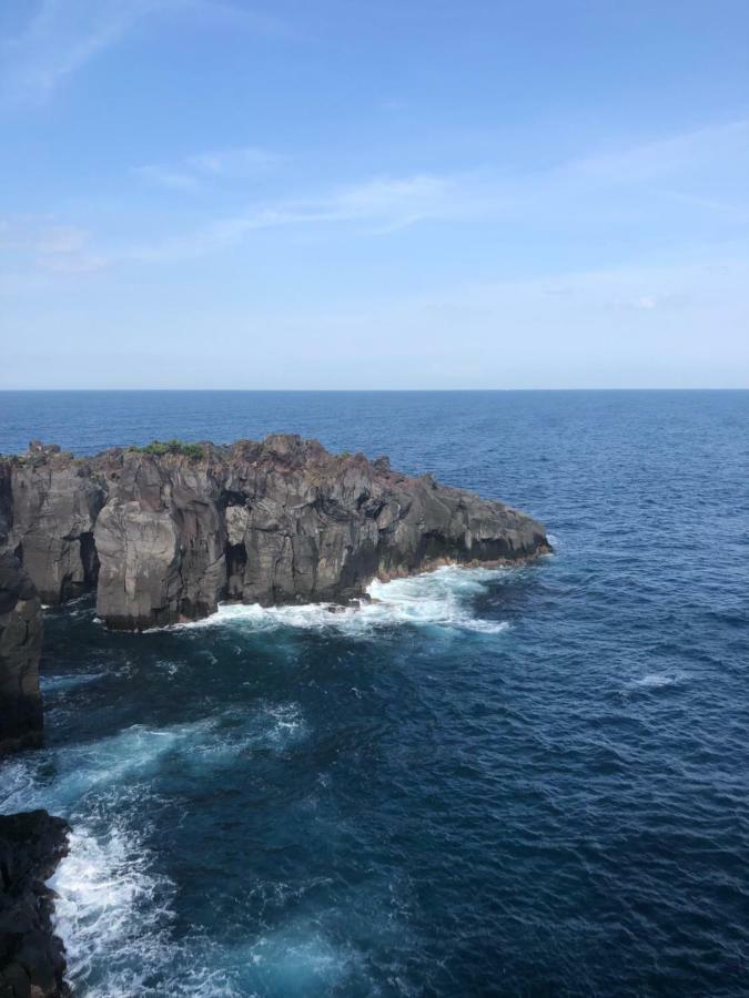 伊道荘園 Futo Exterior foto